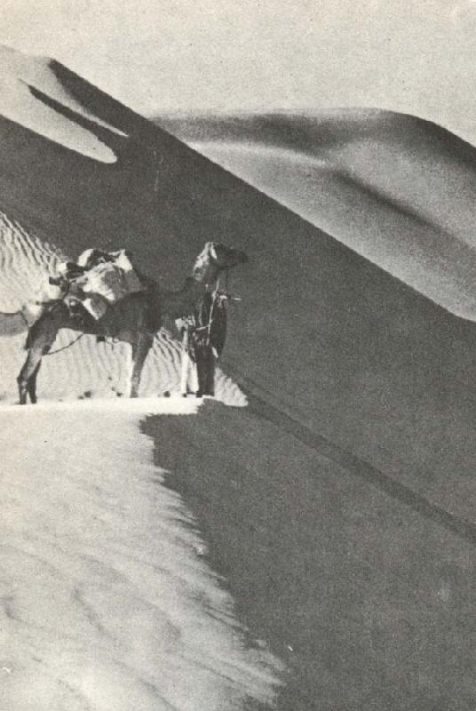 william r clark wilfred thesigers expedition rastar pa toppen av en sanddyn under ritten genom det tomma landet
